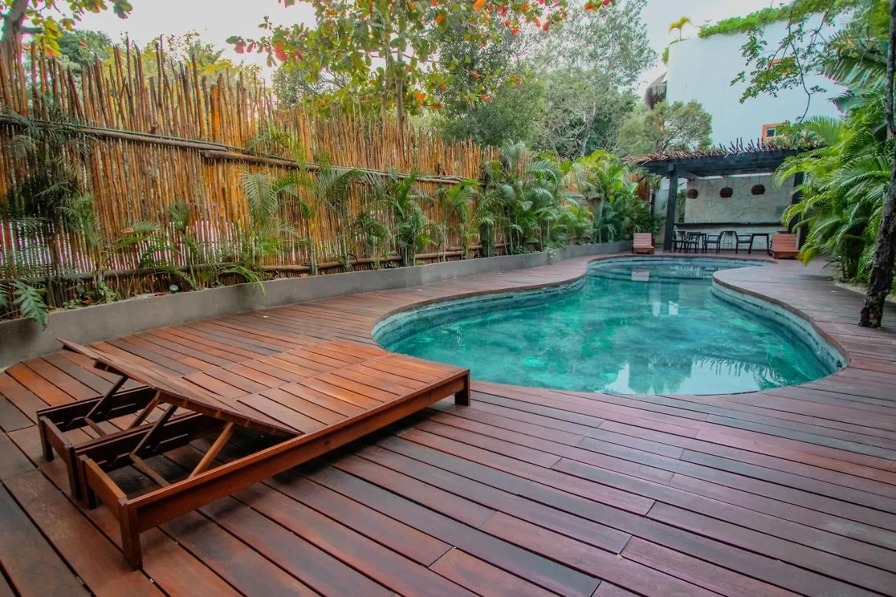 Ideal 4 Groups Aldeazama 2Br 10Pax Apt Papaya Playa Tulum Apartment